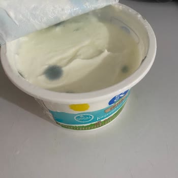 Sek Süt Küflenmiş Yoğurt Yeşillenmiş