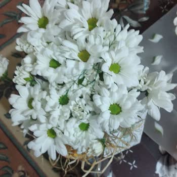 Taze Çiçek (tazecicek.com) Sipariş Edilen Ürün İle Teslim Edilen Ürün Aynı Değil