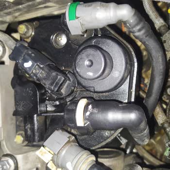 Citroen Mazot Filtresinde Su Var