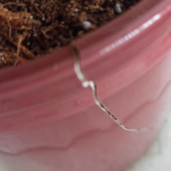 Bloom And Fresh Çiçek Gönderimi Problemi