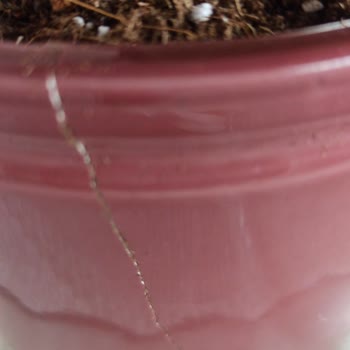 Bloom And Fresh Çiçek Gönderimi Problemi