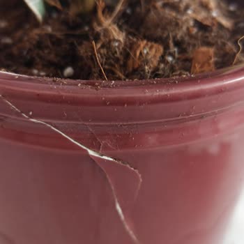 Bloom And Fresh Çiçek Gönderimi Problemi