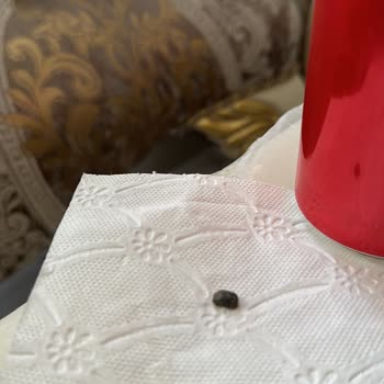 Dürümle Alanya Şubesi'nden Verdiğim Sipariş İçinden Taş Çıkması