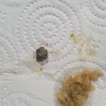 Matador Cafe & Fırın Baklavadan Taş Çıktı