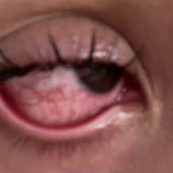 Kirpiks Beauty Home İpek Kirpik Yaptırdım Gözümden Oluyordum!