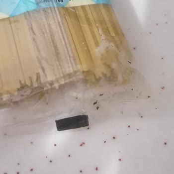 A101 Bendo Makarna Bozulması