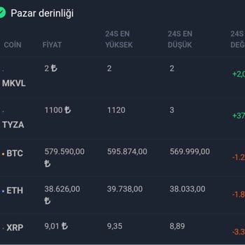 Natirrescoins İnsanları Yanıltan Site