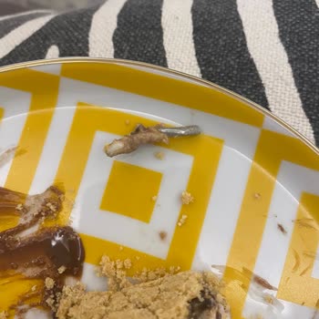 Pavlova Bakery & Cake Tatlıdan Demir Çıktı