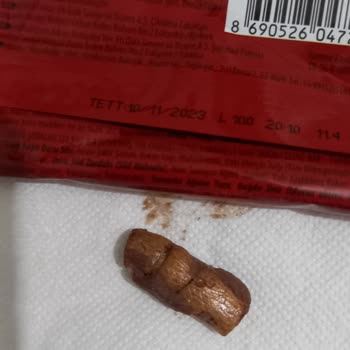 Eti Canga Nin İçinden Çıkan Cisim