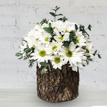 Çiçek Sepeti'nde Sipariş Sorunu