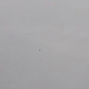 Vestel'den Aldığım Derin Dondurucu Pas Tutuyor