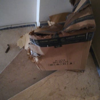 MNG Kargo Esenyurt Şube Kargo Teslimi