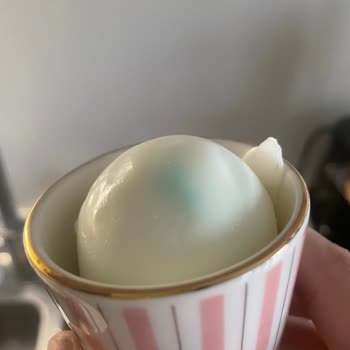 Raya Organik Yumurtada Mavi Benek