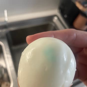 Raya Organik Yumurtada Mavi Benek