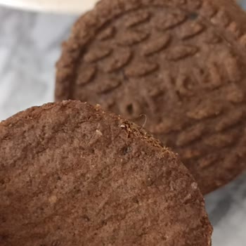 Torku Kakaolu Kremalım Bisküvi Den Kıl Çıktı