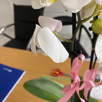 Çiçek Sepeti Orkide Bozuk Geldi