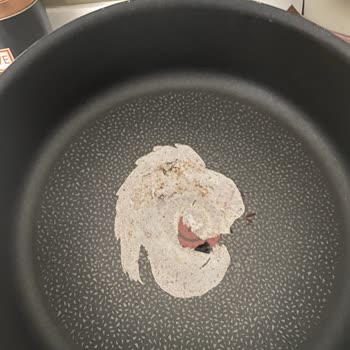 Tefal Ingenio Seti Kaplama Soyulması