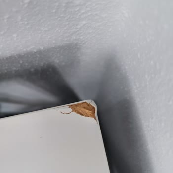 IKEA Dan Gelen Parçalanmış Masalar