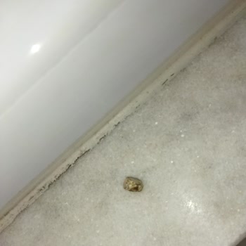 Malatya Pazarı Murat Palancı Cezeryeden Taş Çıktı