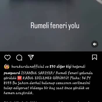 Boğaziçi Beton Hayvana Şiddet Ölmüş Olsa Bile Eziyet Etme