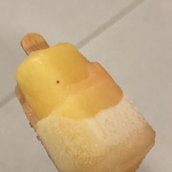 Algida Dondurma İçerisinden Çıkan Siyah Ne Olduğu Belirsiz Madde