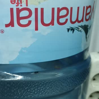 Yamanlar Damacana Suyun İçinden Kara Sinek Çıktı