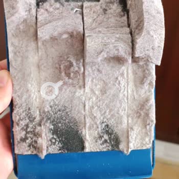 Philips Ev Aletleri Süpürge Toz Haznesinin Küçük Tozları Kaçırması