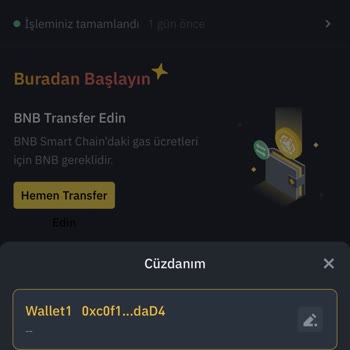 Binance Bitcoin Uygulaması Coinlerim Kayıp
