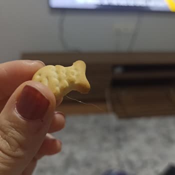 BİM Kırınkıl Balık Kraker Kıl Çıktı