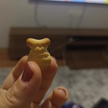 BİM Kırınkıl Balık Kraker Kıl Çıktı