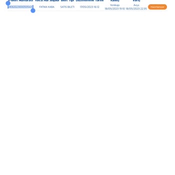İDO E-bilet Portalı PNR Sorgulama Bulunamadı Sorunu