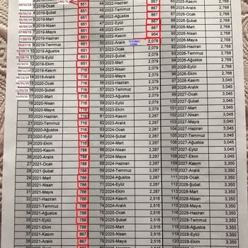 Paran Nasıl Mı Pull Olur? Birevim'e Katıl Öğrenirsin!