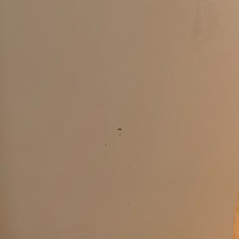 Ankara Şelale Temizlik Pis Bir Temizlik İstiyorsanız Tercih Edebilirsiniz.