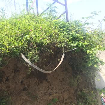 Çoruh Edaş'a Ait Direğin Kaldırılması