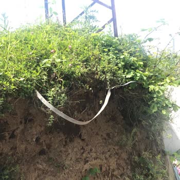 Çoruh Edaş'a Ait Direğin Kaldırılması