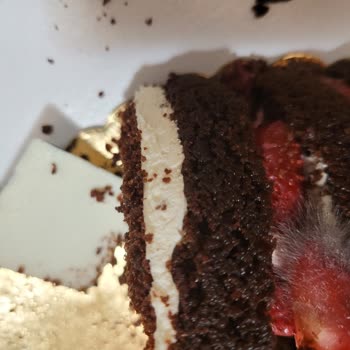 Mado Yaş Pastasında Küf Varlığı