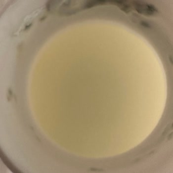 Sakıpağa Ürünleri Bozulmuş Ayran İçinde Parçacıklar Olan Yeşil Küflenmiş Ürün