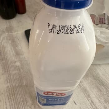 Sakıpağa Ürünleri Bozulmuş Ayran İçinde Parçacıklar Olan Yeşil Küflenmiş Ürün