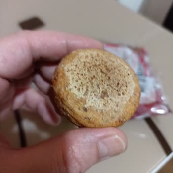 Peysan Küflenmiş Peynir Tatlısı