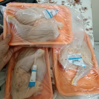 Et Ve Süt Kurumu Bozulmuş Ve Kokmuş Tavuk