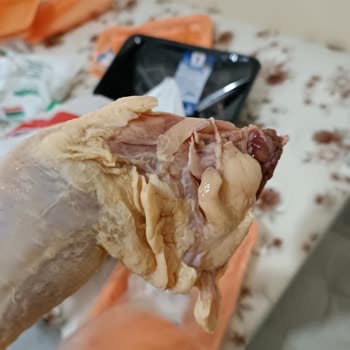 Et Ve Süt Kurumu Bozulmuş Ve Kokmuş Tavuk