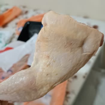 Et Ve Süt Kurumu Bozulmuş Ve Kokmuş Tavuk