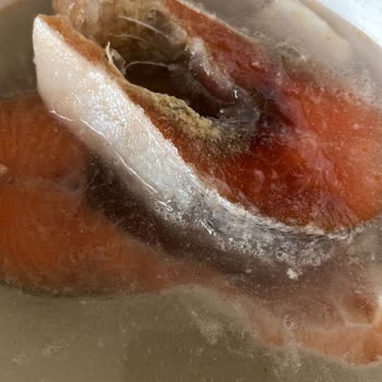 Erba Sea Food BİM Den Aldığım Bozuk Somon Balığı