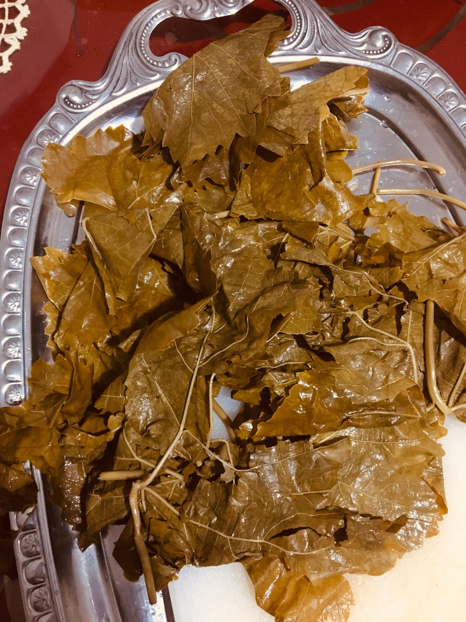 Anatomiya xonasida jinsiy aloqa