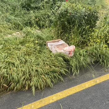 Başakşehir Belediyesi 2. Kısım Boğazköy'de Temizlik Sorunu