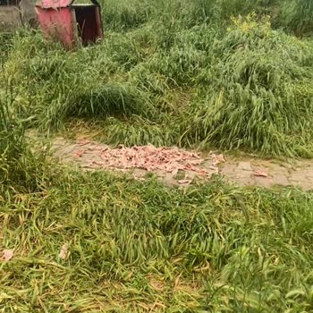 Başakşehir Belediyesi 2. Kısım Boğazköy'de Temizlik Sorunu