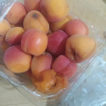 Getirçarşı 4 Mevsim Manav!