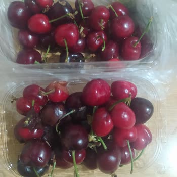 Getirçarşı 4 Mevsim Manav!