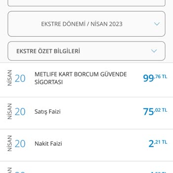 Metlife Kart Borcum Güvende Hayat Sigortası Hakkında