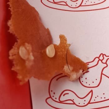 KFC Kıl Ve Tel Çıkması